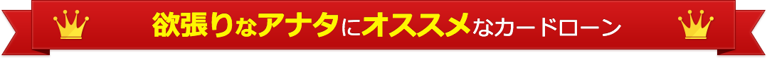 欲張りなアナタにオススメなカードローン