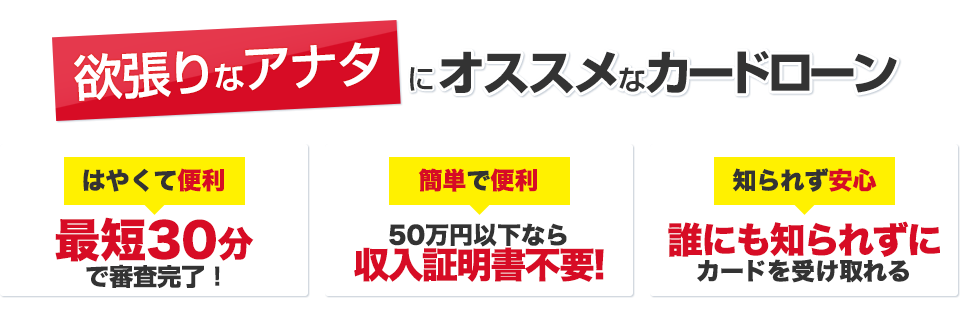 欲張りなアナタにオススメなカードローン